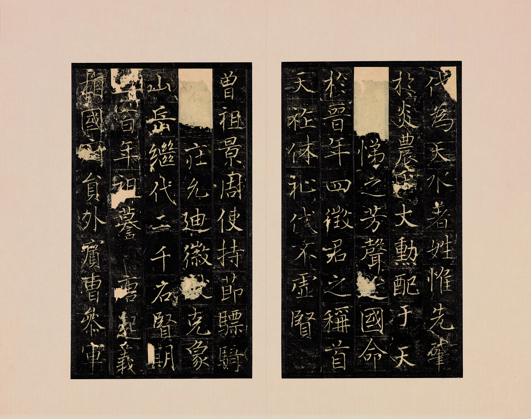 姜晞画像