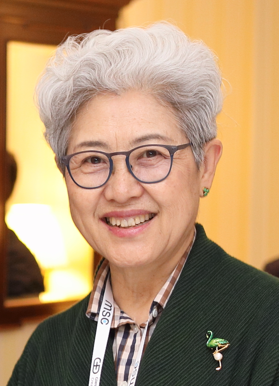 傅莹画像