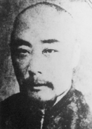 陈芾画像