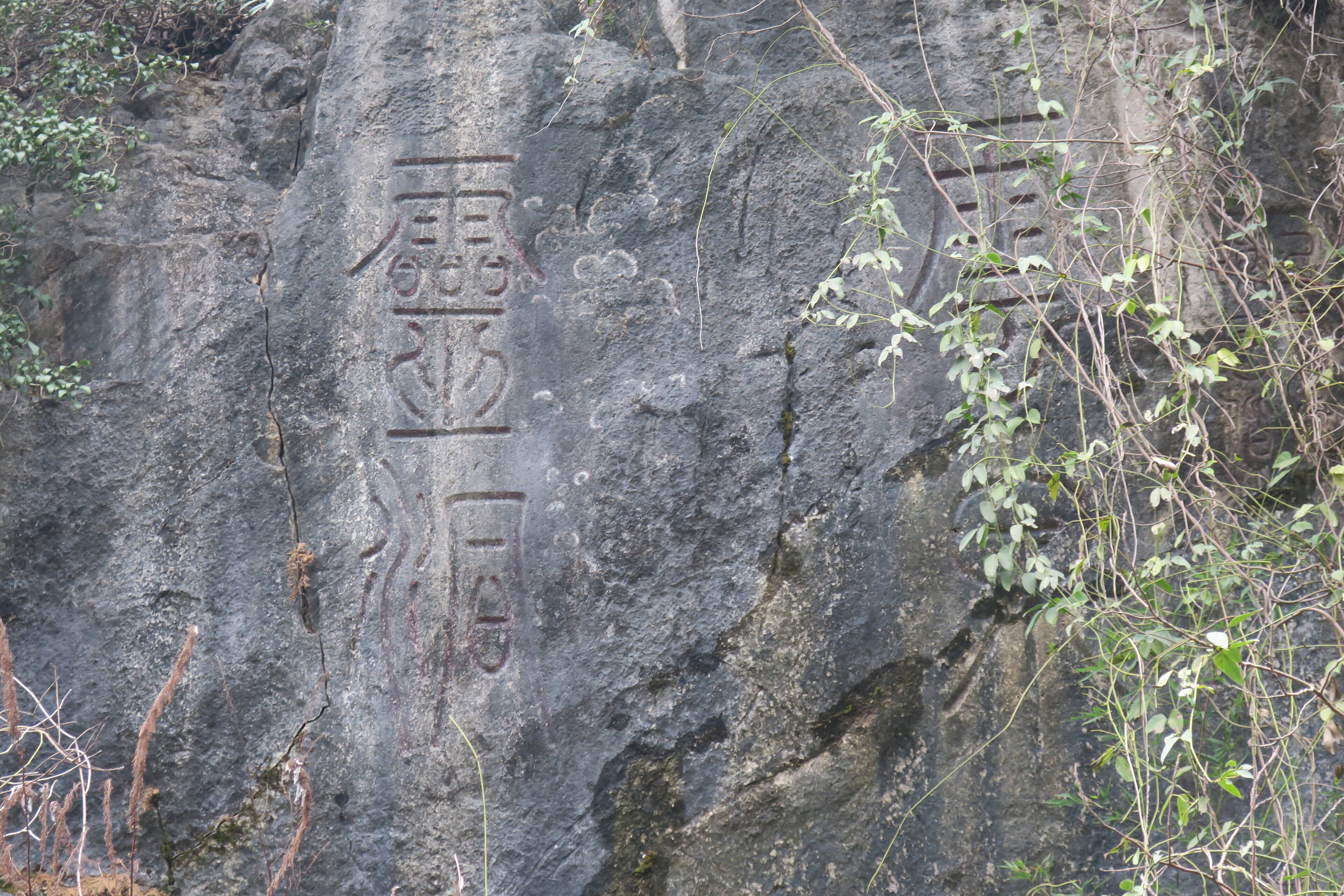 元居中画像